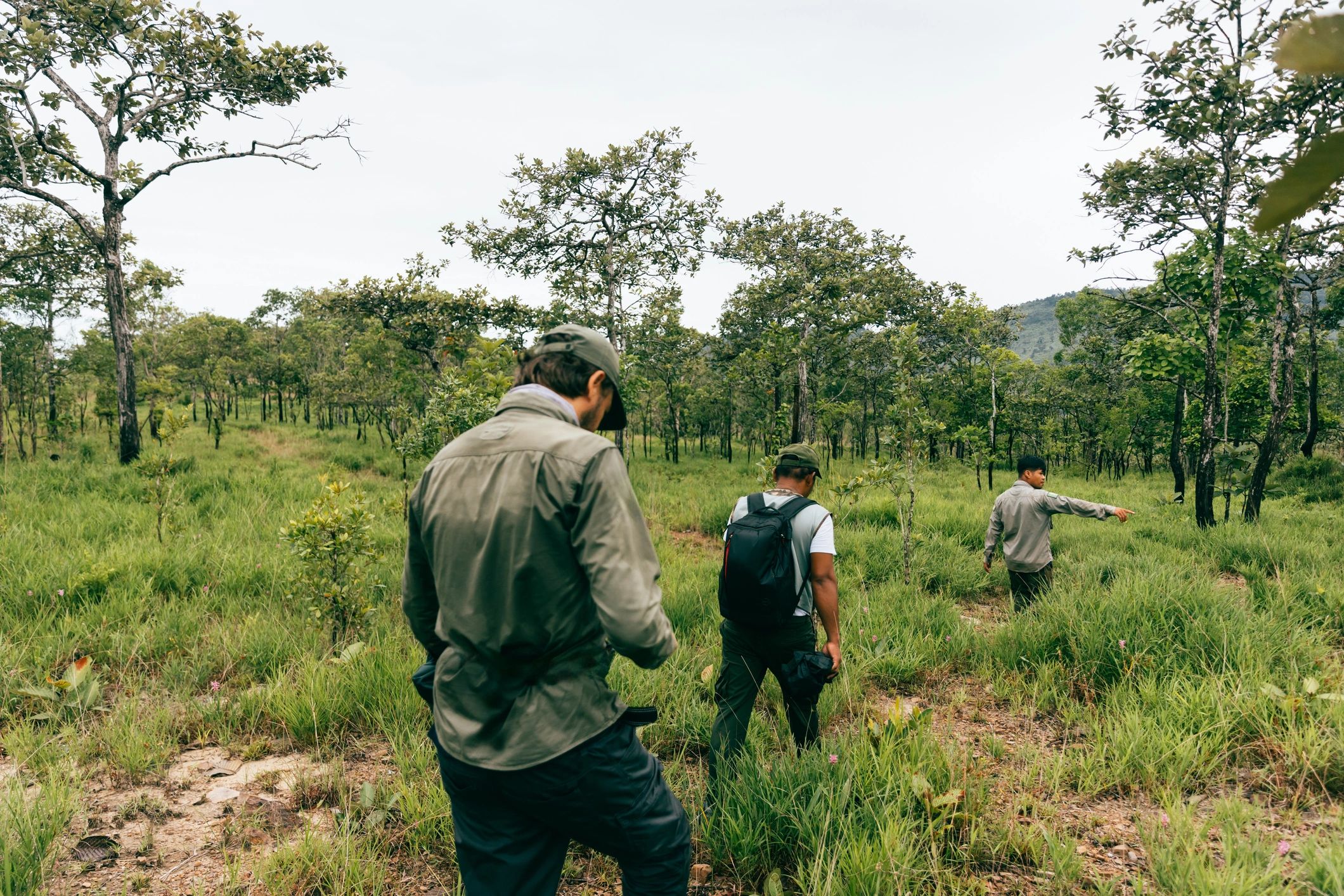 Adventure tourism team in a jungle setting